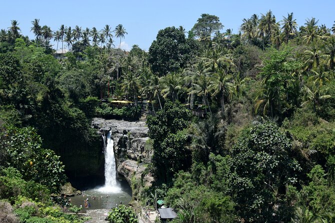 Private Customized Trip to Ubud - What Your Driver-Guide Adds