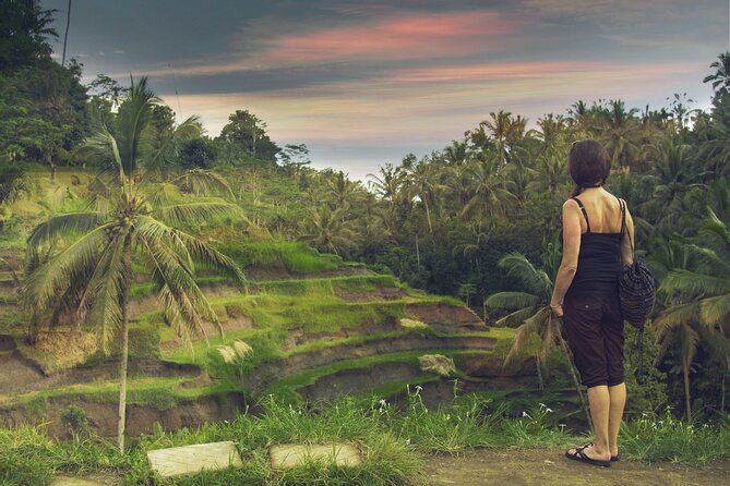 Private Customized Trip to Ubud - Tegenungan Waterfall for Water and Photos