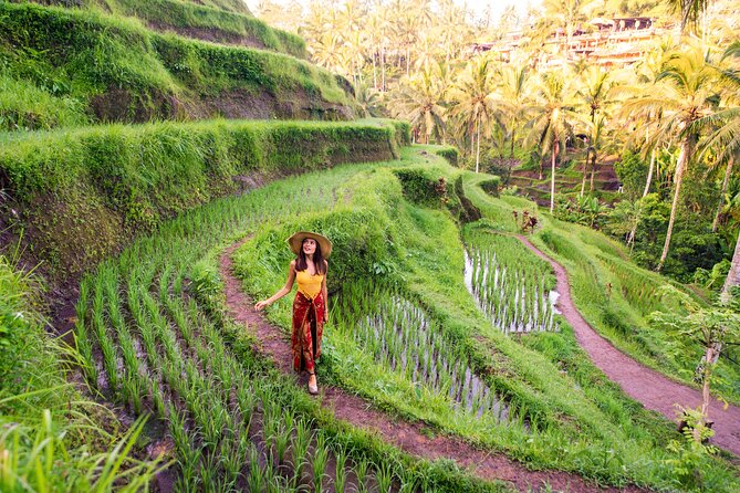 Private Day Tour: The Highlight of Ubud - Monkey Forest: macaques among temple grounds