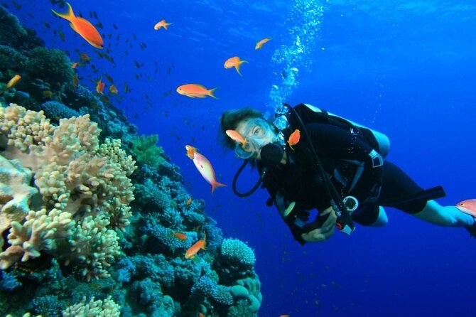 Private Diving Experience in Nusa Dua with Hotel Pick Up - What this Nusa Dua underwater outing is really like