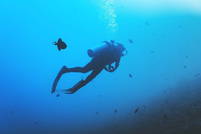 Private Diving Experience in Nusa Dua with Hotel Pick Up - Safety and physical requirements