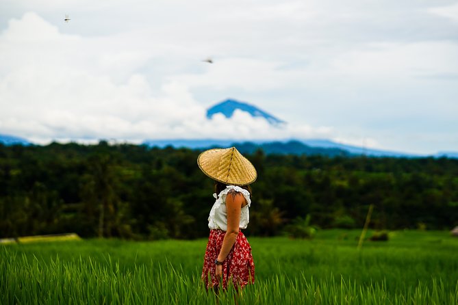 Private Full-Day Bali Tour - My Swing Bali: photo stops with a time cost