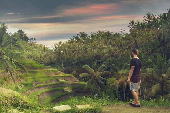 Private Full-Day Bali Tour - Ubud and lunch: leave room for flexibility
