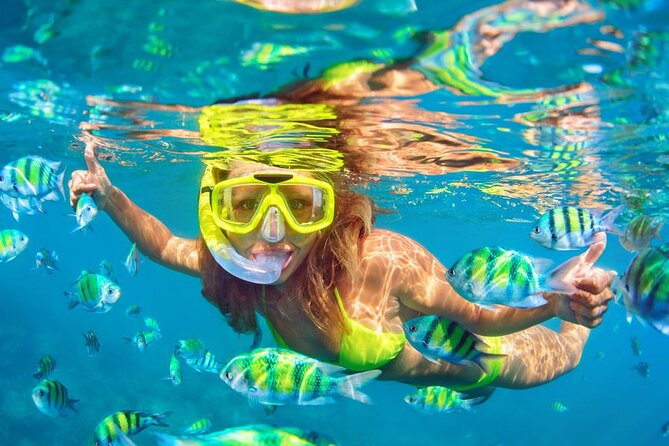 Private Full-Day Lovina Dolphin Watching and Snorkeling Boat Tour - What the guides add to the experience