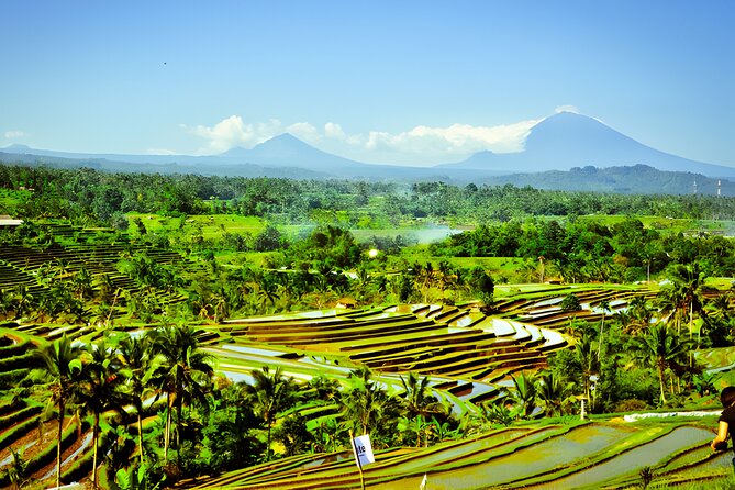 Private Full-Day Tour: Discover The Best of Bali Destination - Tanah Lot, the final sea-temple scene