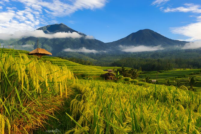 Private Full-Day Tour: Discover The Best of Bali Destination - Tamblingan and Buyan, Bali’s cool Twin Lakes