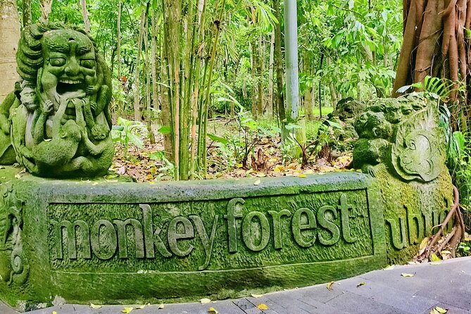 Private Full-Day Tour in Bali & FREE WIFI - How to plan an 8-hour or 10-hour day