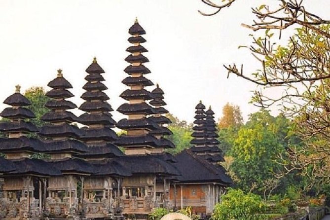 Private Full-Day Tour Jatiluwih Rice Terrace and Tanah Lot Temple - What the $41 price really covers