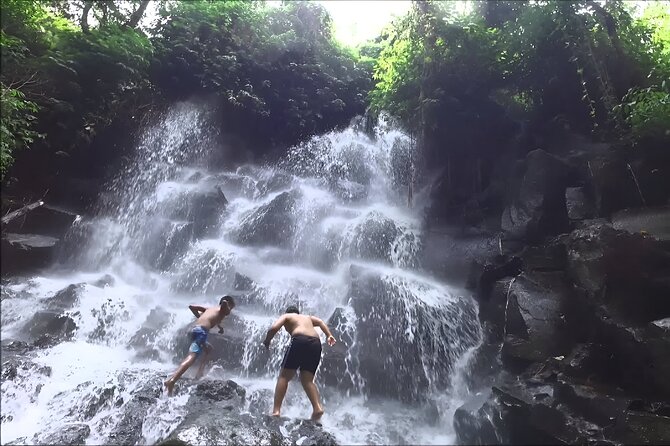 Private Full-Day Tour: The Beauty of Bali Waterfall Trip - Lunch is useful, but check the booking option