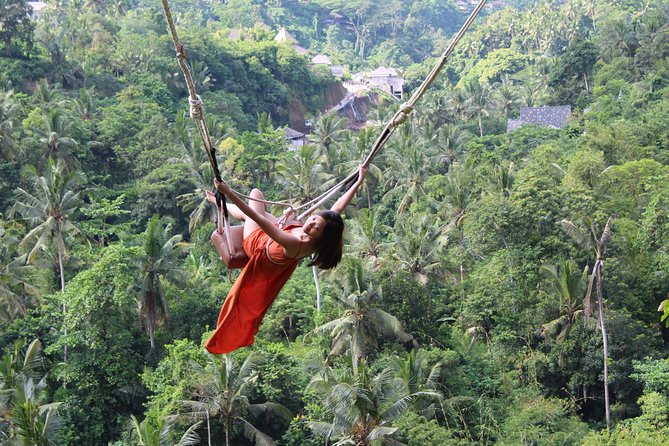 Private Full Day Tour to Ubud Highlights with Giant Swing - A full day from Seminyak to Ubud