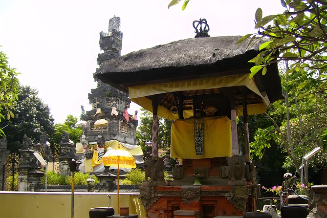 Private Half-Day Tour: Denpasar City Trip - A private car makes the schedule easier