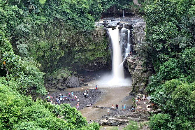 Private Half-Day Tour: Ubud Tour Packages - Why this private Ubud route makes sense