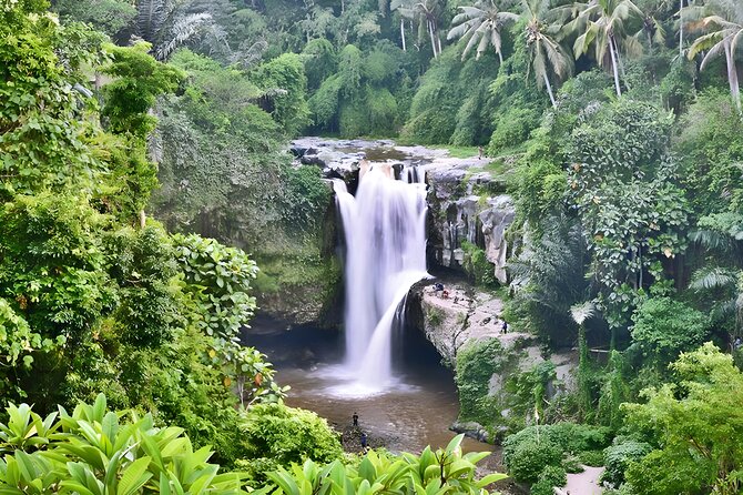 Private Half-Day Tour : Ubud Waterfall Tour Packages - Key points to know before booking