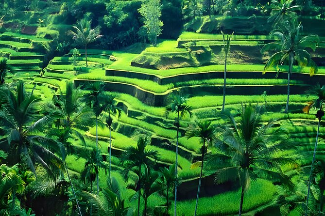 Private Half-Day Tour : Ubud Waterfall Tour Packages - Passing temples, Monkey Forest, and woodcarving villages
