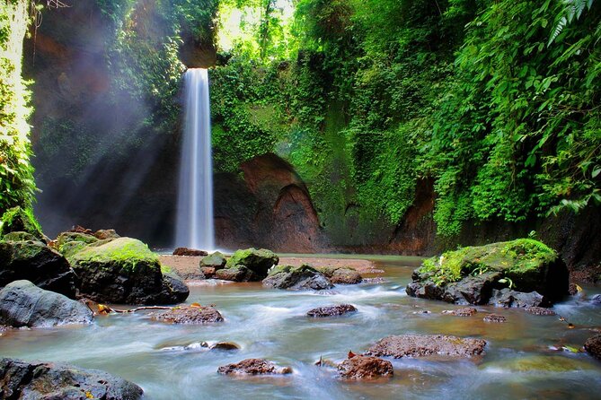 Private Inclusive Tour: The Best Of Ubud With Jungle Swing - What this Ubud day is really designed to do
