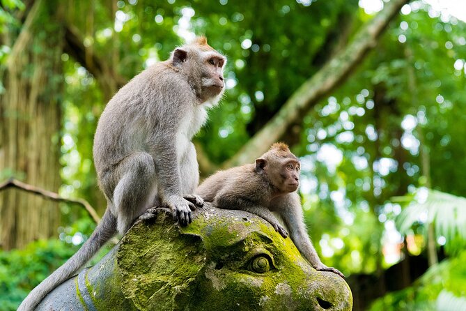Private Inclusive Tours: 2 Days highlight of Bali - Why this two-day Bali plan works