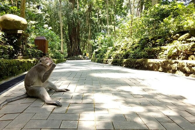 Private Inclusive Tours: 2 Days highlight of Bali - The private car and pace