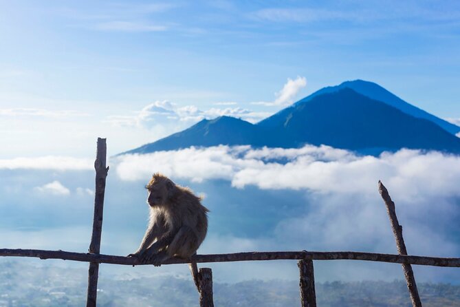 Private Mount Batur Sunrise Trekking Tour - What the $39 price really includes