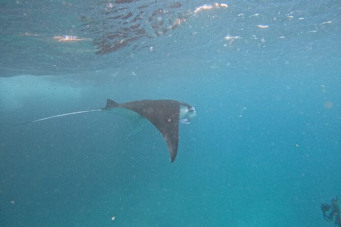 PRIVATE Nusa Penida on Boat Snorkeling & Island Tour (INCLUSIVE) - What your US$135 buys you
