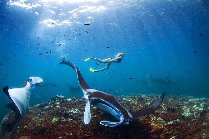 PRIVATE Nusa Penida on Boat Snorkeling & Island Tour (INCLUSIVE) - The early start at Sanur port