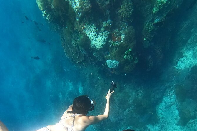 Private Nusa Penida Snorkeling Tour - Lunch at Amarta or Green Kubu