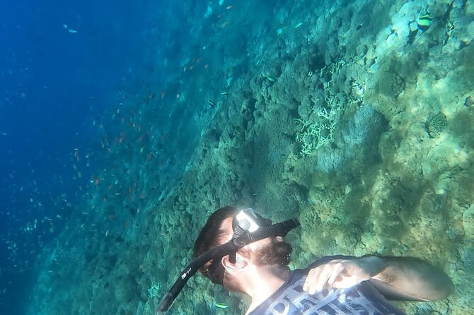 Private Nusa Penida Snorkeling Tour - How much value do you get for $157.84?