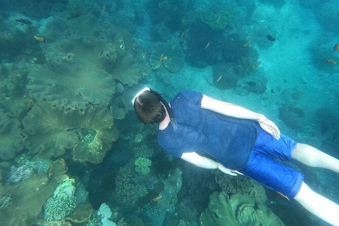 Private Nusa Penida Snorkeling Tour - Weather, visibility, and the limits of the plan