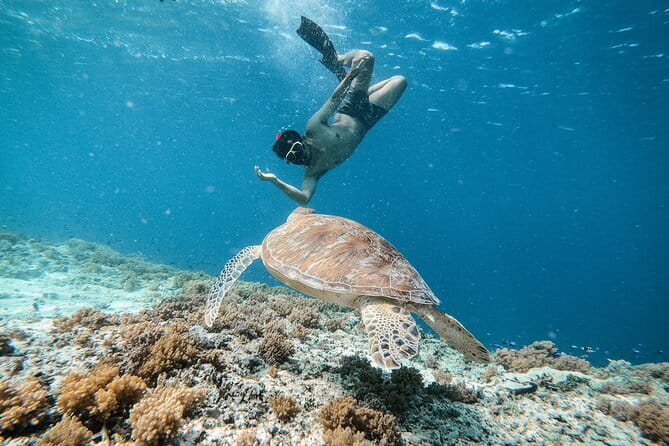 Private Snorkeling Gili Island Including GoPro Camera - A private start near Gili Trawangan harbor