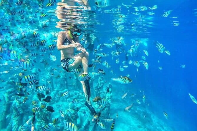 Private Snorkeling Gili Island Including GoPro Camera - What the guides add to the day