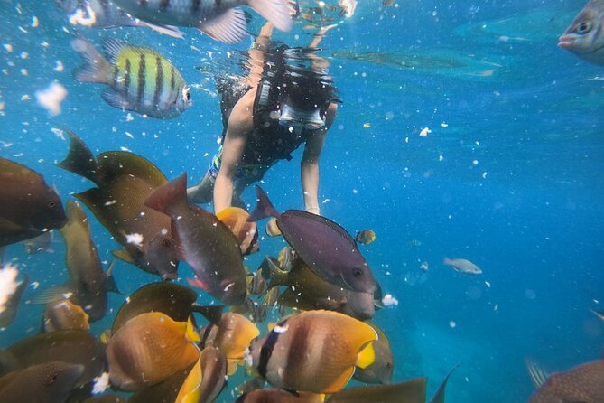 Private Snorkeling in Manta Bay, Gamat Bay & Wall at Nusa Penida - A private boat changes the feel of the outing