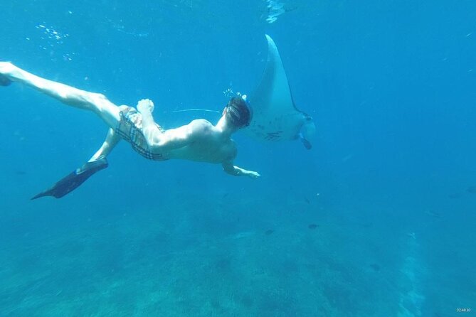 Private Snorkeling in Manta Bay, Gamat Bay & Wall at Nusa Penida - Wall Point and the shoreline nursery