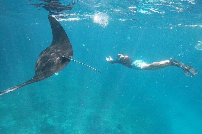 Private Snorkeling in Manta Bay, Gamat Bay & Wall at Nusa Penida - Crystal Bay appears in the plan, so confirm the route