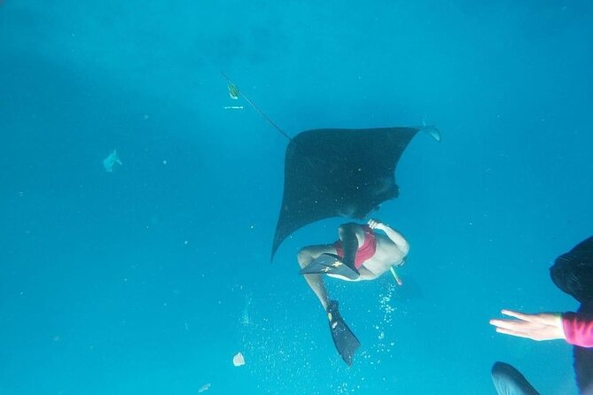 Private Snorkeling in Manta Bay, Gamat Bay & Wall at Nusa Penida - About two hours in the water, not six