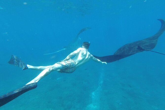 Private Snorkeling in Manta Bay, Gamat Bay & Wall at Nusa Penida - Indonesian lunch at the harbor