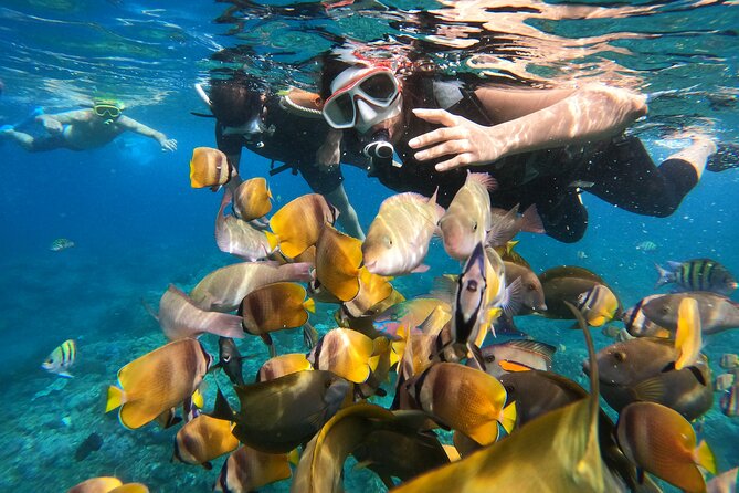 Private Snorkeling in Manta Bay, Gamat Bay & Wall at Nusa Penida - Manta Bay: exciting, but never a promise