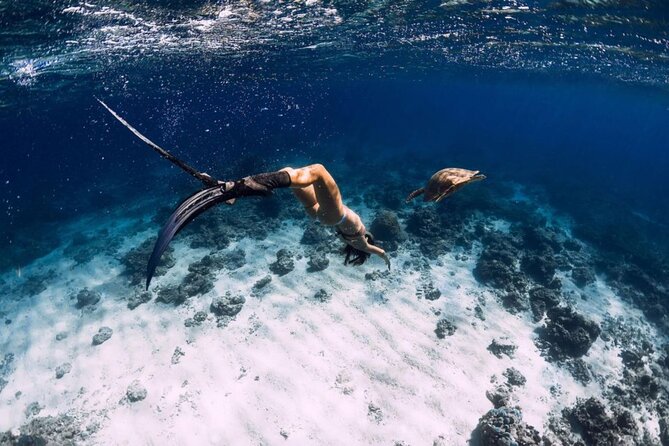 Private Snorkeling Start Gili Meno and Explore 4 Spots with GoPro - Blue Coral starts the underwater tour
