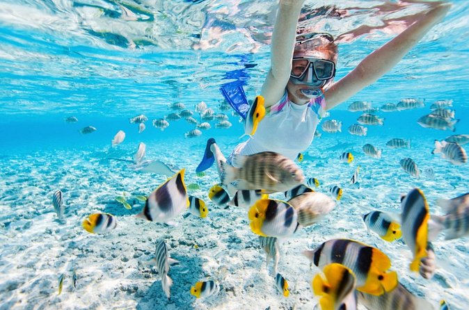Private Snorkeling Start Gili Meno and Explore 4 Spots with GoPro - Turtle Heaven is the wildlife highlight