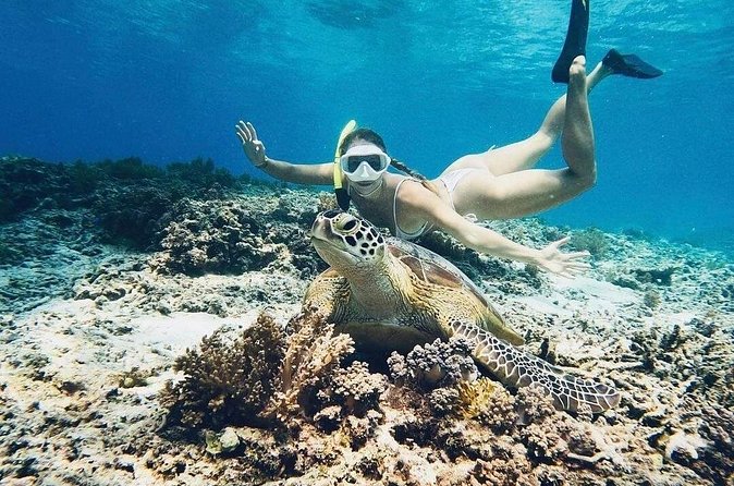 Private Snorkeling Start Gili Meno and Explore 4 Spots with GoPro - A beach pause on Gili Air