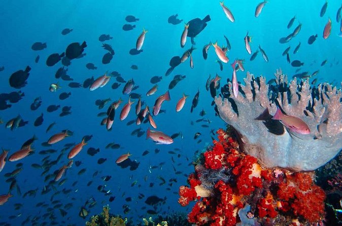 Private tour 4 days 3 nights Komodo on boat, waterfall and Rangko cave - Practical details that affect your decision