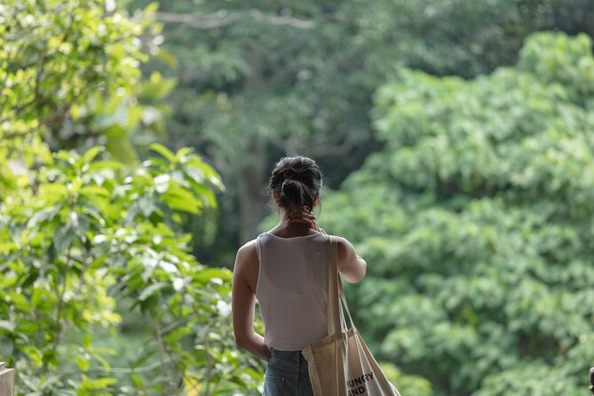 Private Tour : Bali Best Waterfalls, Temples and Monkey Forest - Elephant Cave, a temple with a misleading name