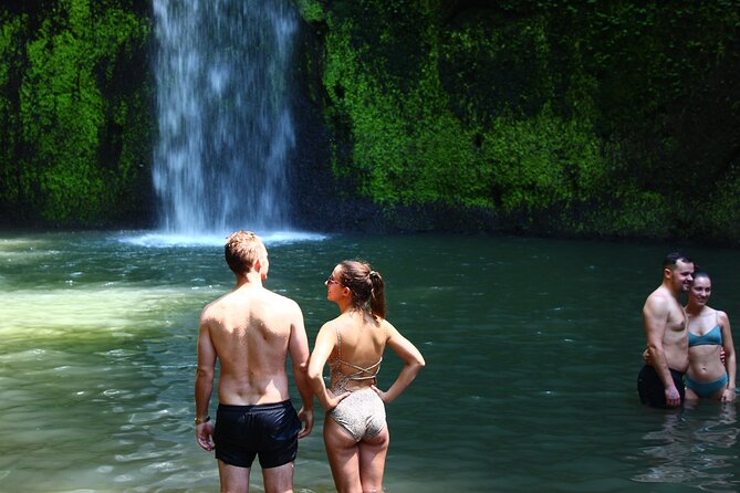 Private Tour : Bali Best Waterfalls, Temples and Monkey Forest - Sangeh Monkey Forest, a quieter-feeling final stop