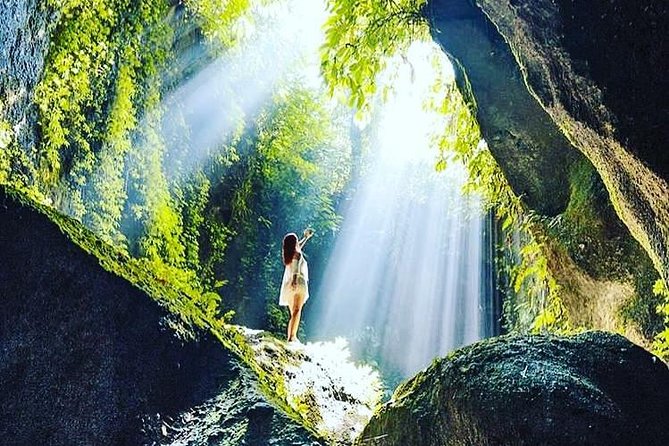 Private Tour: Bali in a Day - Tegalalang Rice Terrace: Bali’s famous farming view