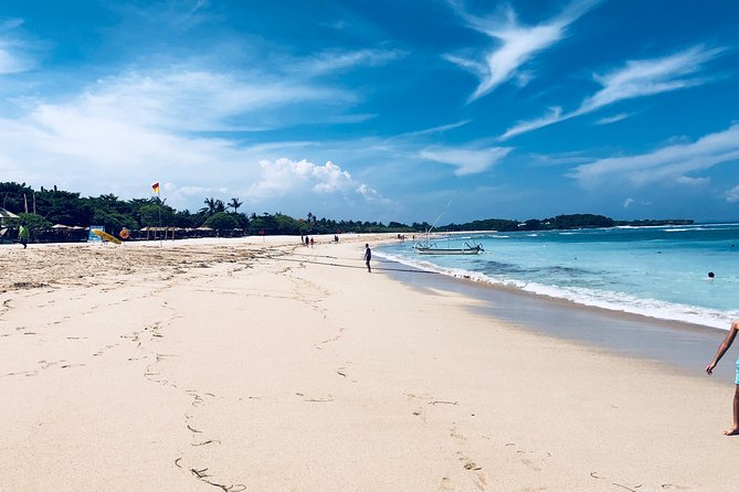 Private Tour: Bali in a Day - Is $50 per person good value?