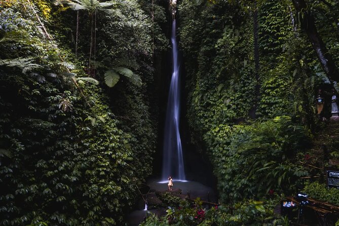 Private Tour: Bali Temples, Hidden Waterfall and Handara Gate - Lunch in Bedugul: flexible, but not included