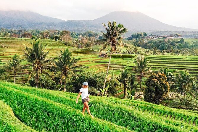 Private Tour: Bali UNESCO World Heritage Sites - Jatiluwih shows Bali as a working countryside
