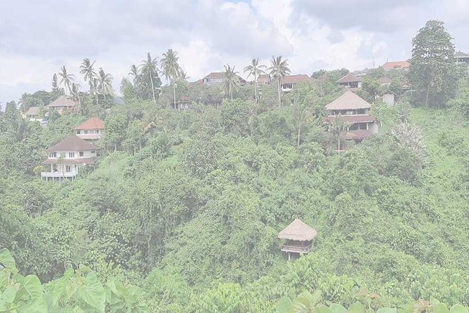 Private Tour: Campuhan Ridge Walk, Ubud Rice Terrace & Ubud Palace - Why Campuhan Ridge makes a smart first stop
