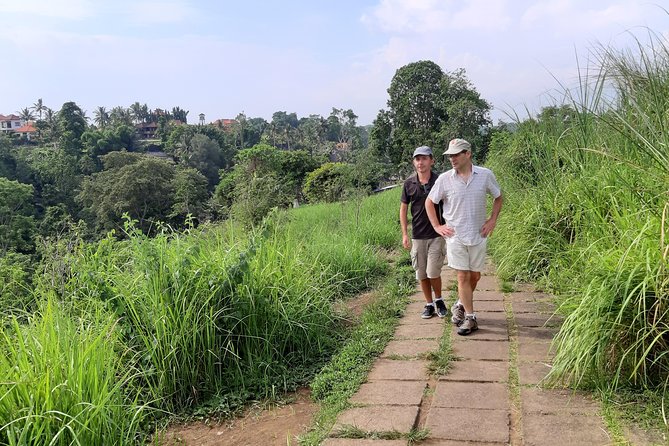 Private Tour: Campuhan Ridge Walk, Ubud Rice Terrace & Ubud Palace - Ubud Palace and a look at royal Bali