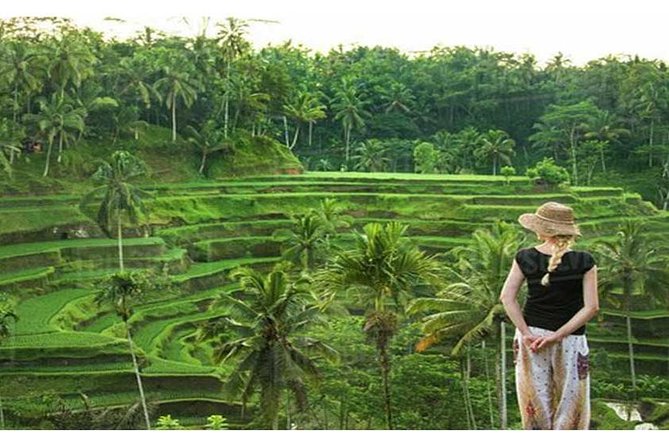 Private Tour: Campuhan Ridge Walk, Ubud Rice Terrace & Ubud Palace - What the $25 price really covers
