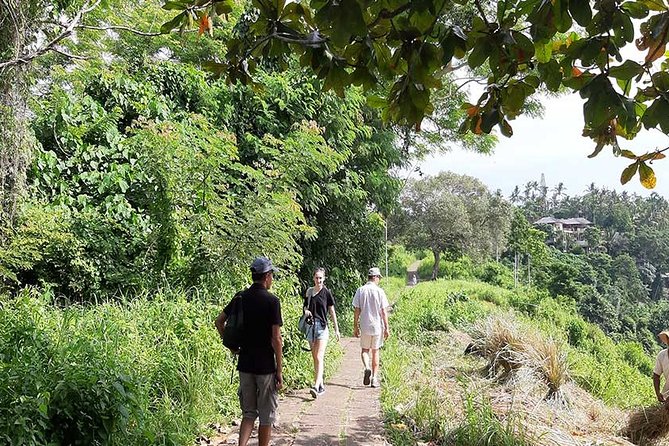 Private Tour: Campuhan Ridge Walk, Ubud Rice Terrace & Ubud Palace - How the private format changes the day