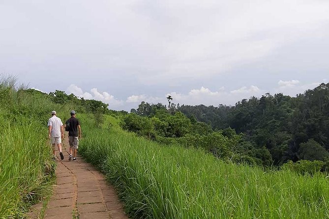 Private Tour: Campuhan Ridge Walk, Ubud Rice Terrace & Ubud Palace - What you see along the Campuhan path